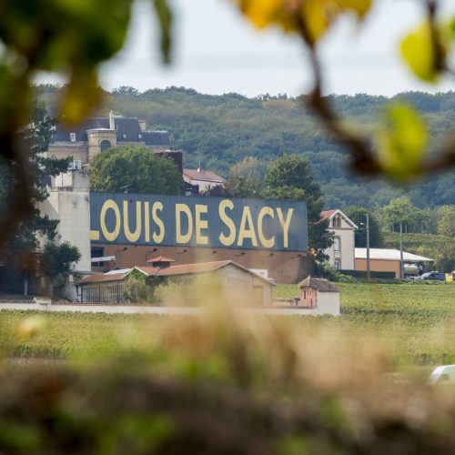 Champagne Louis de Sacy